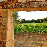 Masseria Trulli E Vigne 4*