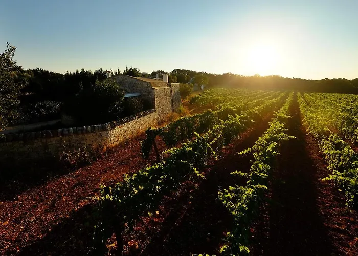 מלון Masseria Trulli E Vigne 4*