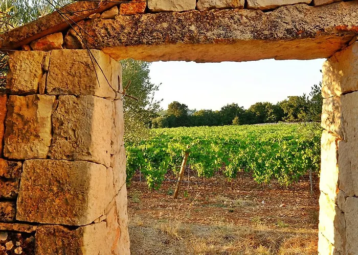 Masseria Trulli E Vigne 4*