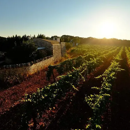 Hotel Masseria Trulli E Vigne 4*