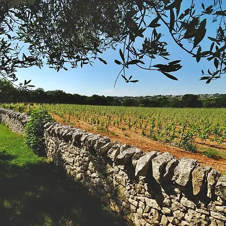 Masseria Trulli E Vigne