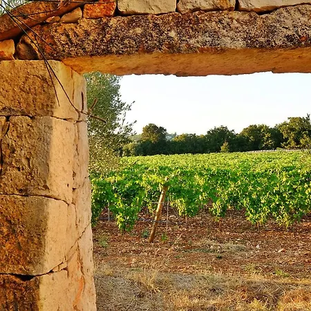 Masseria Trulli E Vigne 4*