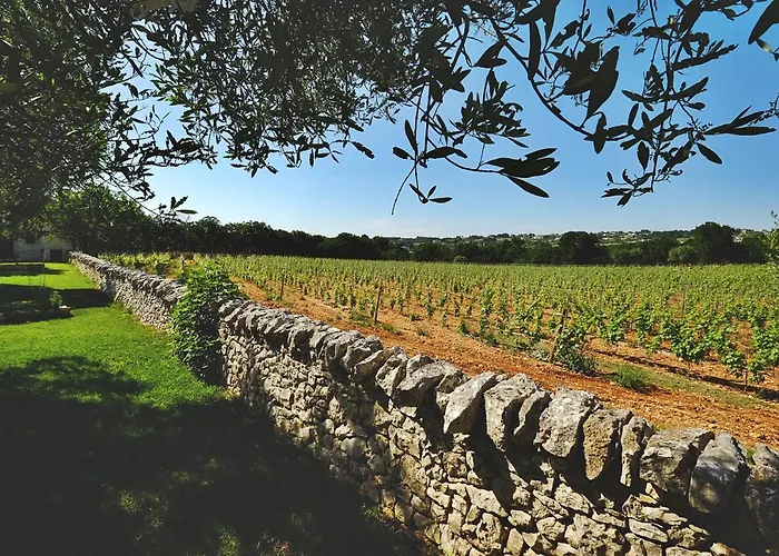 Masseria Trulli E Vigne